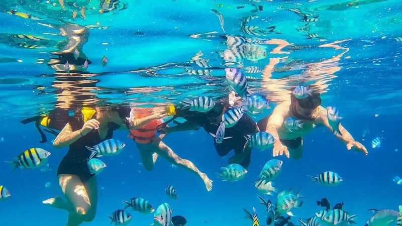 Tour Snorkeling to Hon Mun Coral Reef (4)